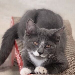 meet your posher, brooke!